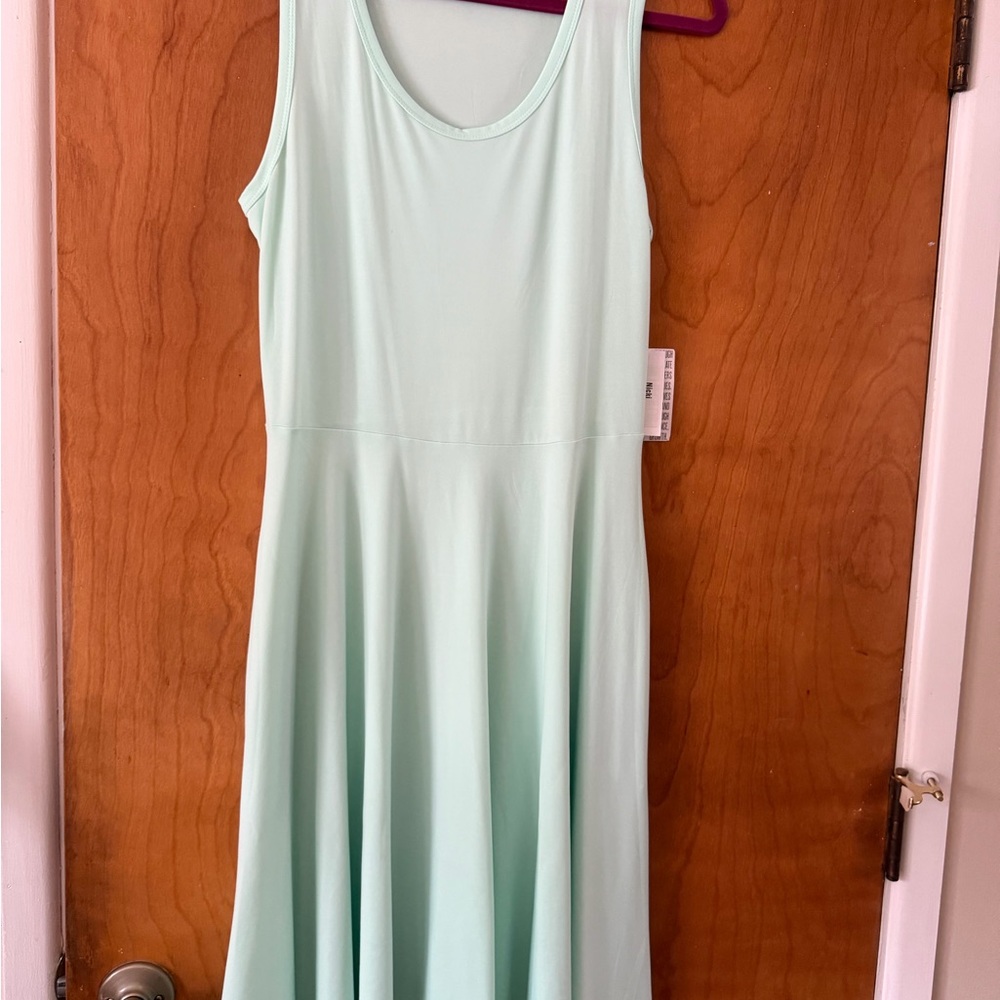 LuLaRoe Mint Green Nicki Dress